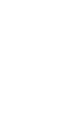 Banderilla